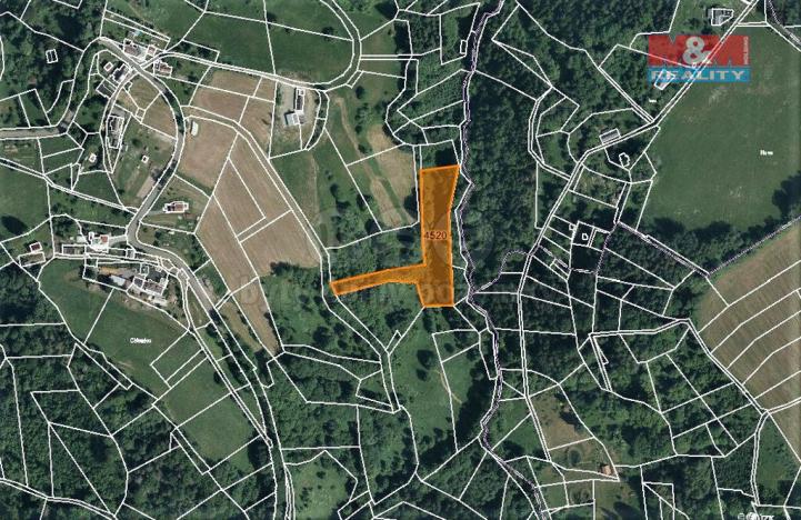 Prodej trvalého travního porostu, Koberovy, 6562 m2