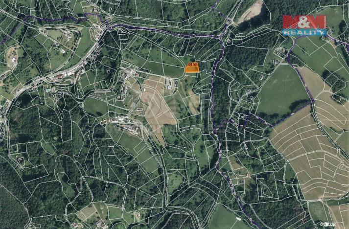 Prodej lesa, Koberovy, 2693 m2