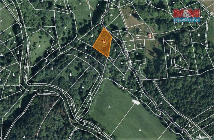 Prodej lesa, Koberovy, 2062 m2