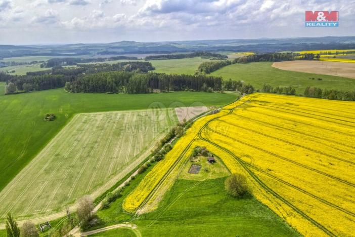 Prodej zemědělské půdy, Ostrov u Bezdružic - Pláň, 6672 m2
