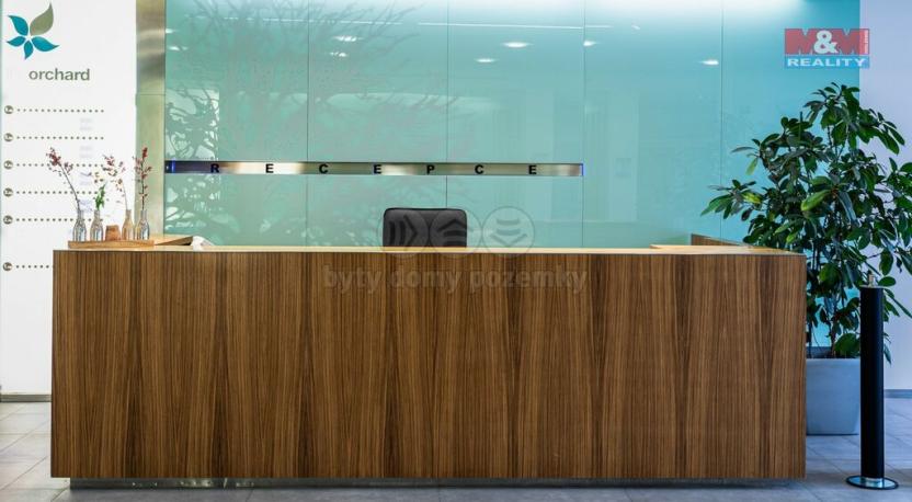 Pronájem kanceláře, Ostrava - Moravská Ostrava, Hornopolní, 49 m2