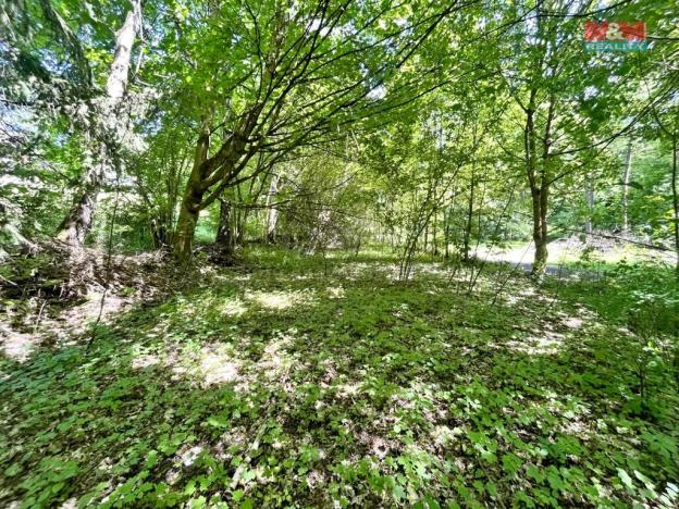 Prodej zahrady, Chřibská, 1281 m2