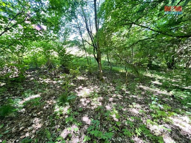 Prodej zahrady, Chřibská, 1281 m2