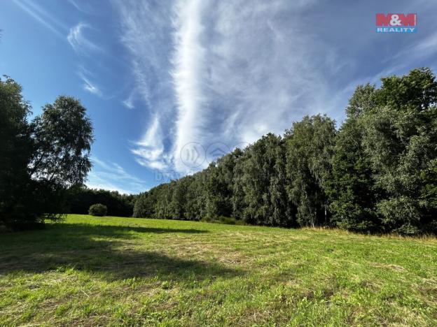 Prodej louky, Petrovice u Karviné - Prstná, 7691 m2