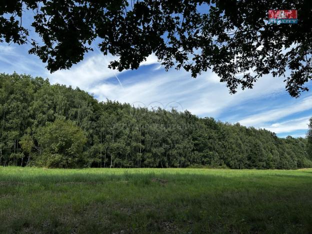 Prodej louky, Petrovice u Karviné - Prstná, 7691 m2