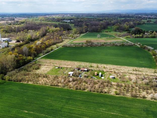 Prodej zahrady, Olomouc, 476 m2