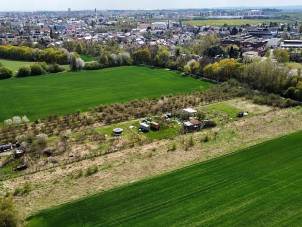 Prodej zahrady, Olomouc, 349 m2