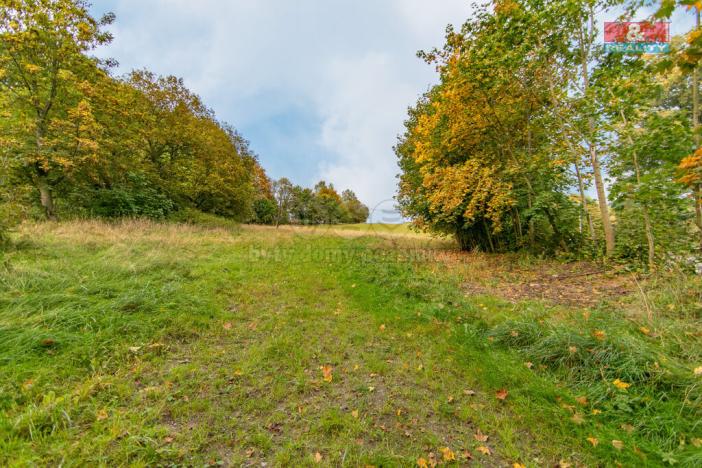 Prodej pozemku pro bydlení, Kraslice, 1078 m2