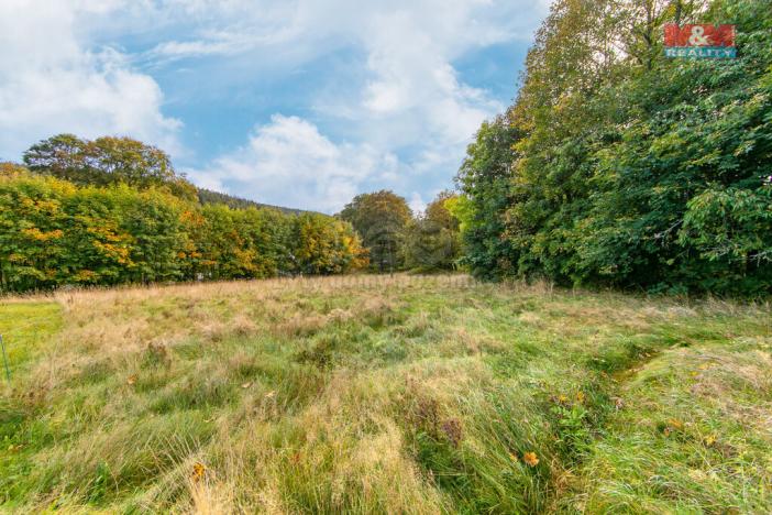 Prodej pozemku pro bydlení, Kraslice, 2182 m2