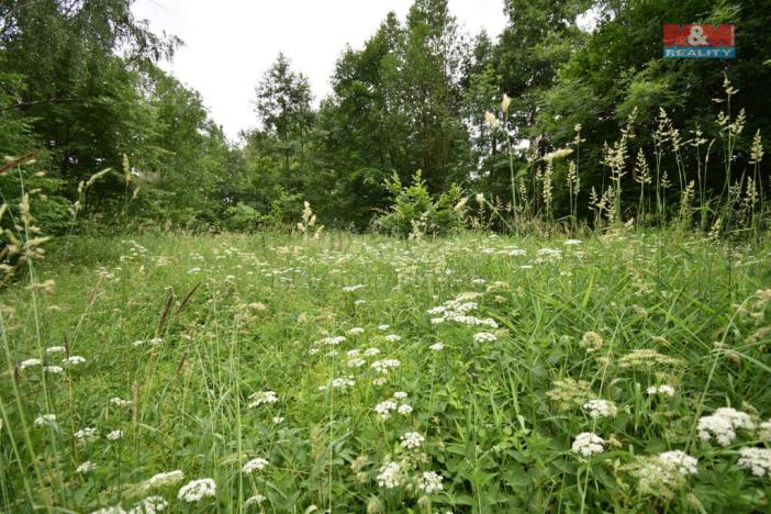 Prodej pozemku pro bydlení, Višňová, 4501 m2