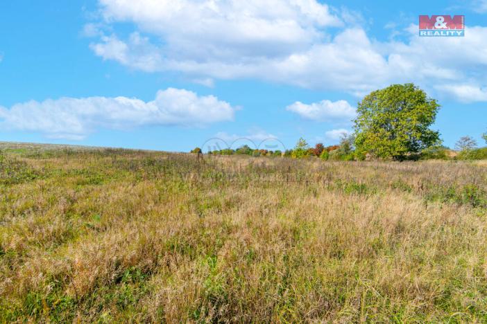 Prodej trvalého travního porostu, Krásné Údolí, 1769 m2