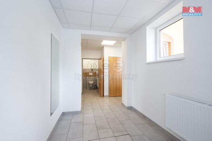 Pronájem komerční nemovitosti, Vřesina, Ovocná, 635 m2