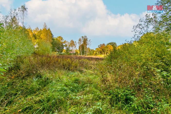 Prodej pozemku pro bydlení, Stará Voda, 2517 m2