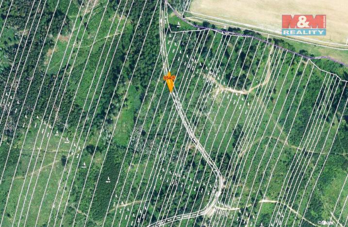 Prodej lesa, Nová Hradečná, 6647 m2