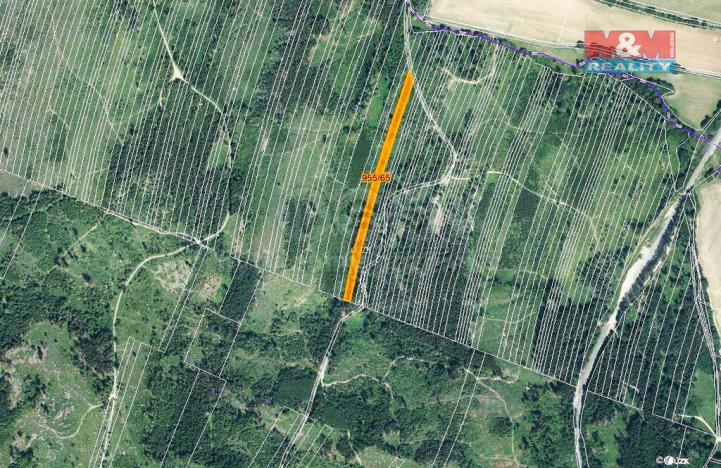 Prodej lesa, Nová Hradečná, 6647 m2