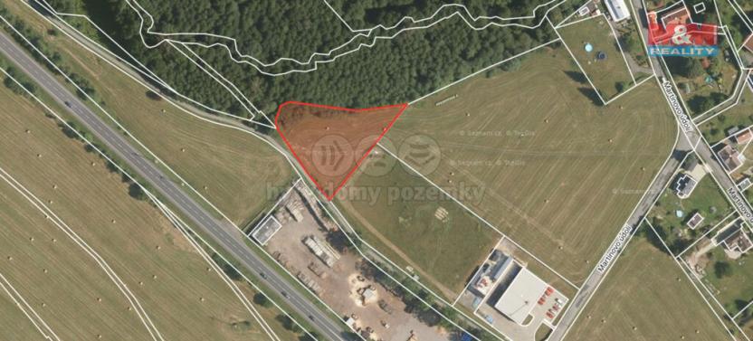 Prodej trvalého travního porostu, Cvikov - Drnovec, 3023 m2