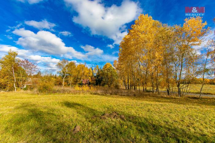 Prodej trvalého travního porostu, Krsy, 1072 m2