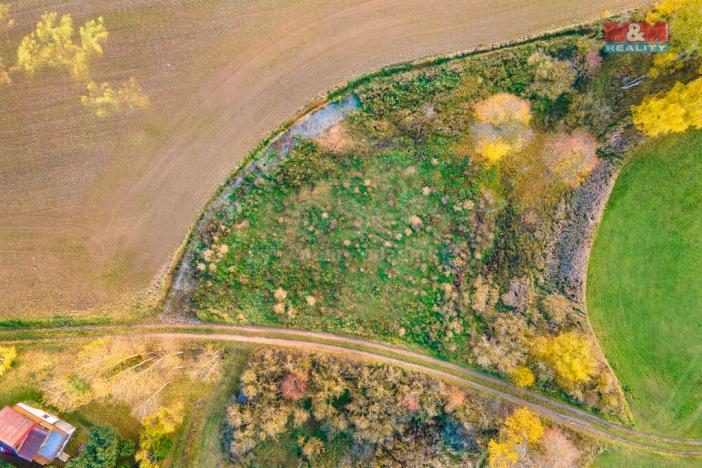 Prodej trvalého travního porostu, Vysoká Libyně, 672 m2