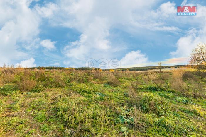 Prodej trvalého travního porostu, Vysoká Libyně, 672 m2