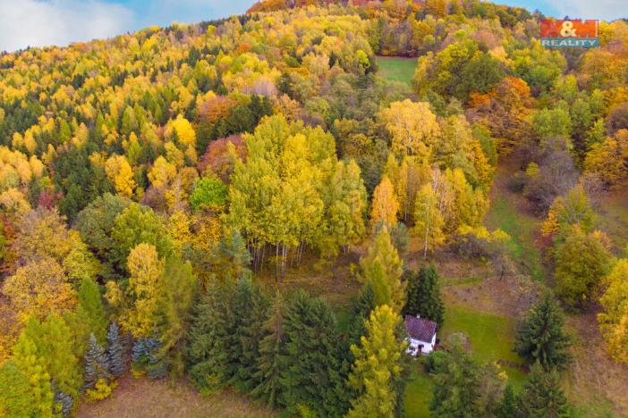Prodej lesa, Skalice u České Lípy, 3004 m2