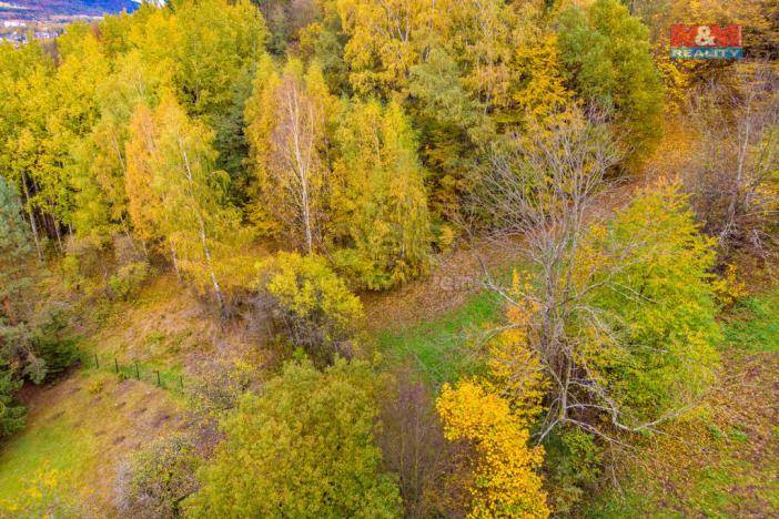 Prodej lesa, Skalice u České Lípy, 3004 m2