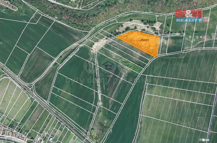 Prodej zemědělské půdy, Staňkovice, 7642 m2