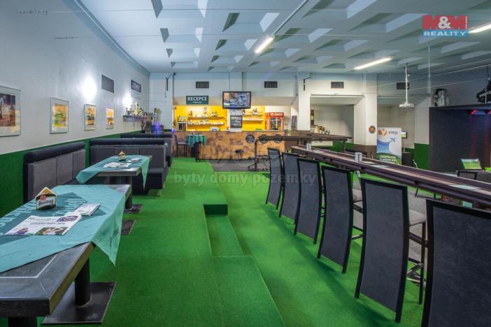 Prodej obchodního prostoru, Pardubice - Bílé Předměstí, Dašická, 1230 m2