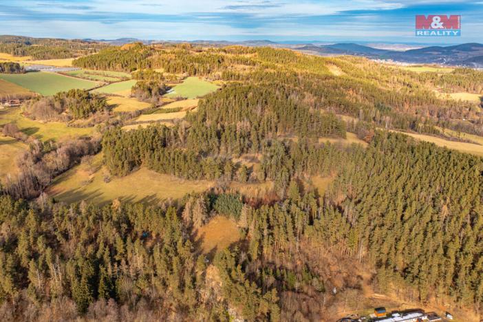 Prodej lesa, Malenice, 30891 m2