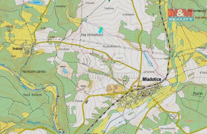 Prodej trvalého travního porostu, Mladotice, 3253 m2