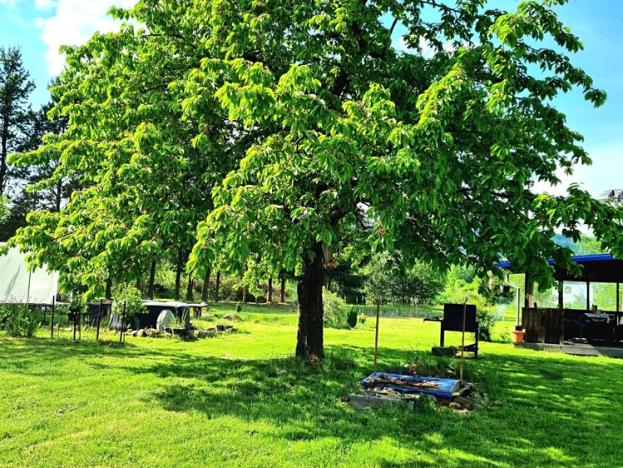 Prodej rodinného domu, Libouchec, 312 m2