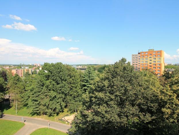 Pronájem bytu 1+kk, Ostrava, Plzeňská, 22 m2