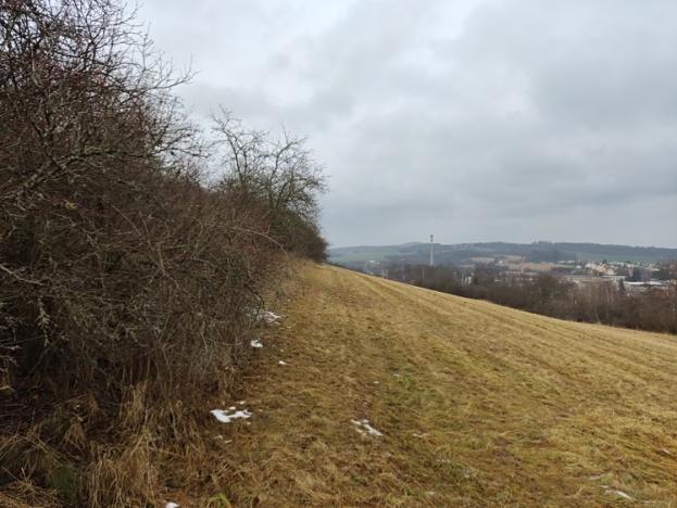 Prodej trvalého travního porostu, Letovice, 34048 m2