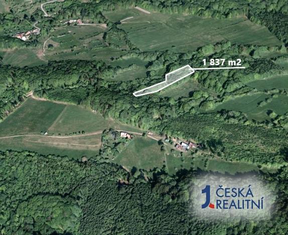 Prodej podílu lesa, Vsetín, 918 m2