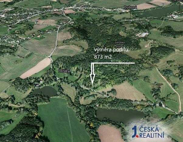 Prodej podílu lesa, Vrbatův Kostelec, 873 m2