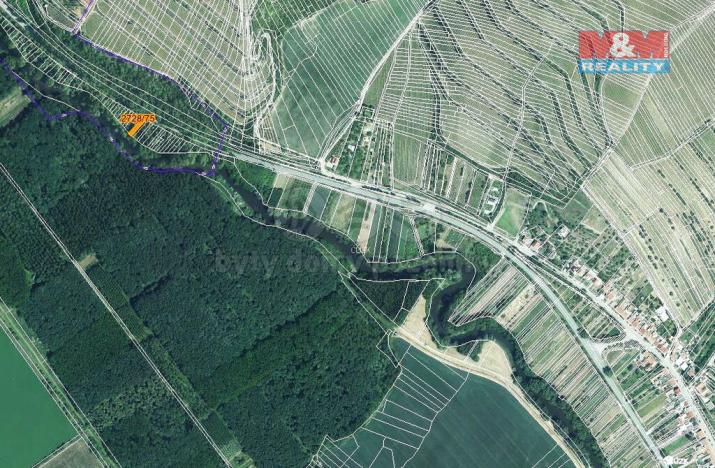 Prodej lesa, Židlochovice, 215 m2