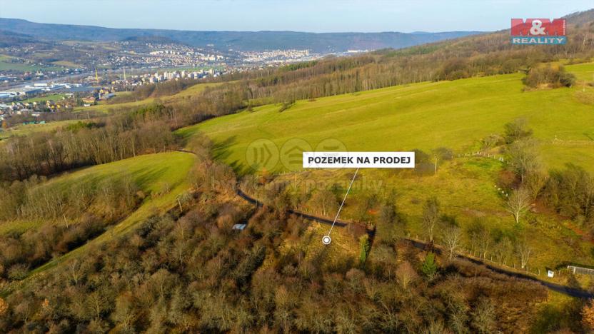 Prodej zemědělské půdy, Děčín - Děčín XXIX-Hoštice nad Labem, 3000 m2