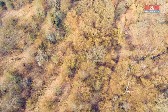 Prodej pozemku, Ústí nad Labem - Mojžíř, 8537 m2