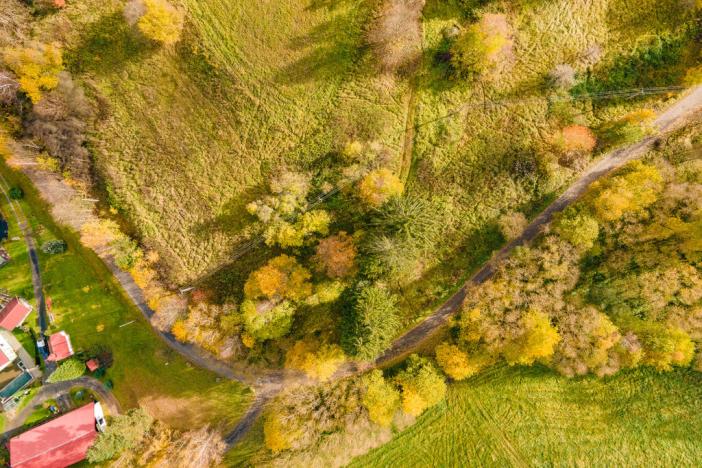 Prodej trvalého travního porostu, Rozvadov - Svatá Kateřina, 1487 m2