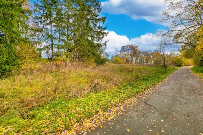 Prodej trvalého travního porostu, Rozvadov - Svatá Kateřina, 1487 m2