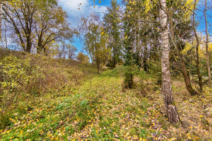Prodej trvalého travního porostu, Rozvadov - Svatá Kateřina, 1487 m2