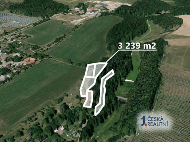 Prodej podílu lesa, Velký Třebešov, 315 m2