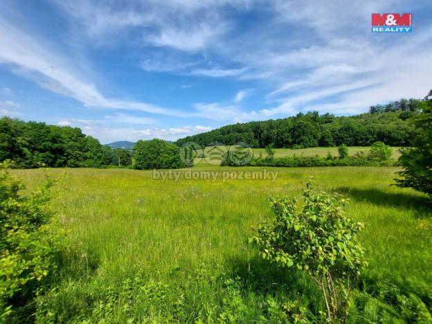 Prodej trvalého travního porostu, Nový Jičín, 3425 m2