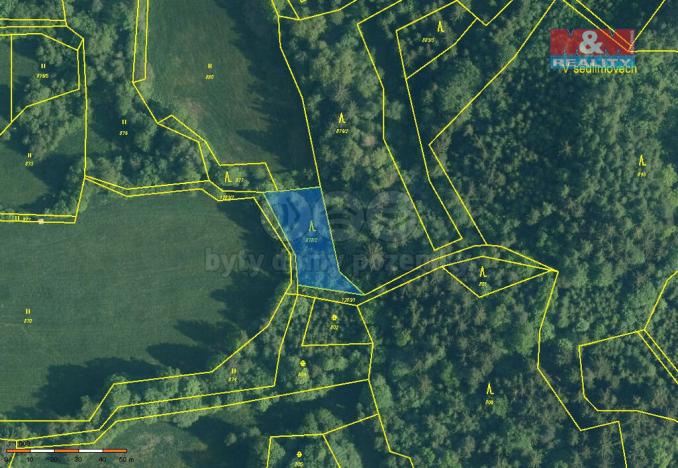 Prodej lesa, Zálezly - Setěchovice, 5083 m2