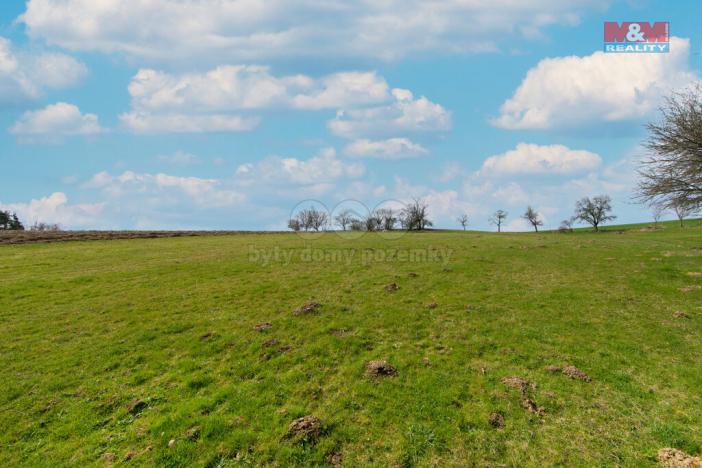 Prodej trvalého travního porostu, Krsy - Polínka, 4971 m2