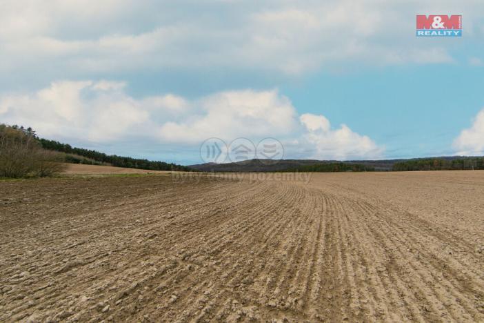 Prodej zemědělské půdy, Předenice, 5839 m2