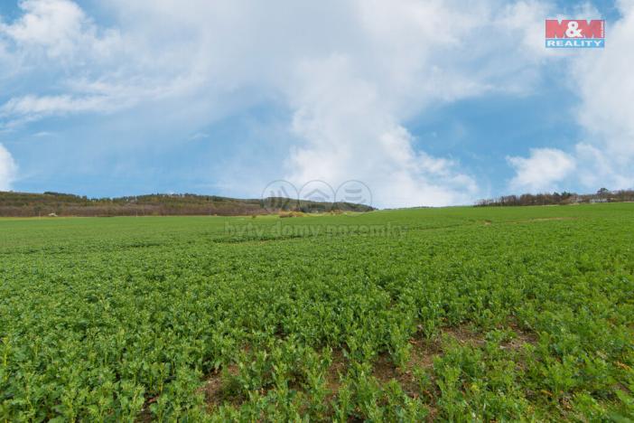 Prodej zemědělské půdy, Čižice, 5653 m2