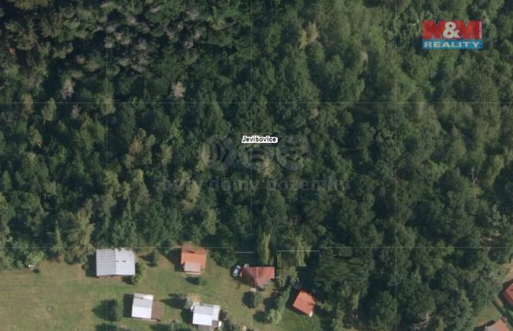 Prodej lesa, Jevišovice, 12655 m2