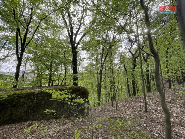 Prodej zahrady, Chrastava - Andělská Hora, 2545 m2