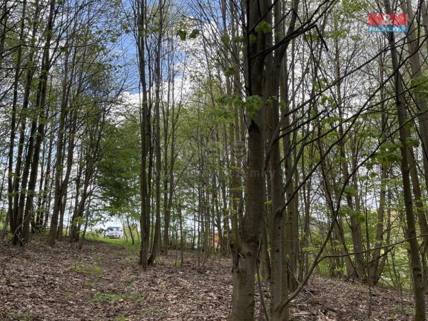 Prodej zahrady, Chrastava - Andělská Hora, 2545 m2