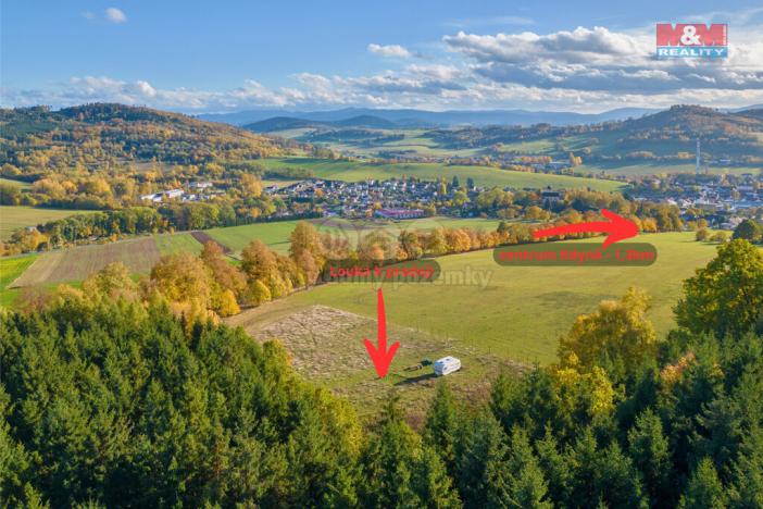 Prodej trvalého travního porostu, Kdyně, 3381 m2